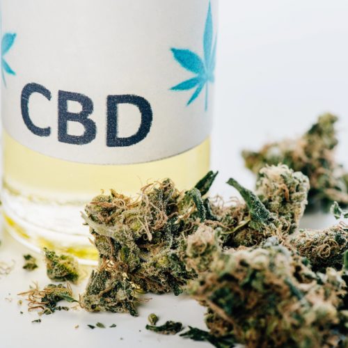 CBD Uncovered: How It Works and Why People Are Talking About It