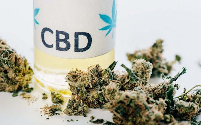 How CBD is Shaping Modern Wellness Culture