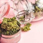 From Relaxation to Focus: A Guide to Cannabis Strains