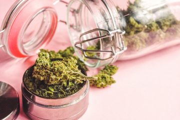 From Relaxation to Focus: A Guide to Cannabis Strains