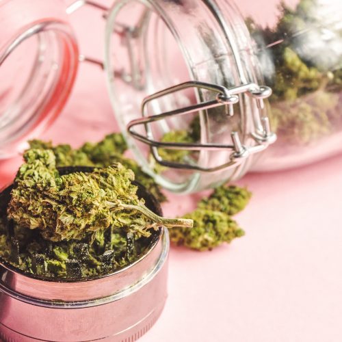 From Relaxation to Focus: A Guide to Cannabis Strains