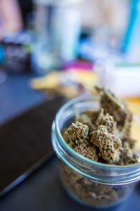 A vertical closeup shot of green weed clumps in a jar